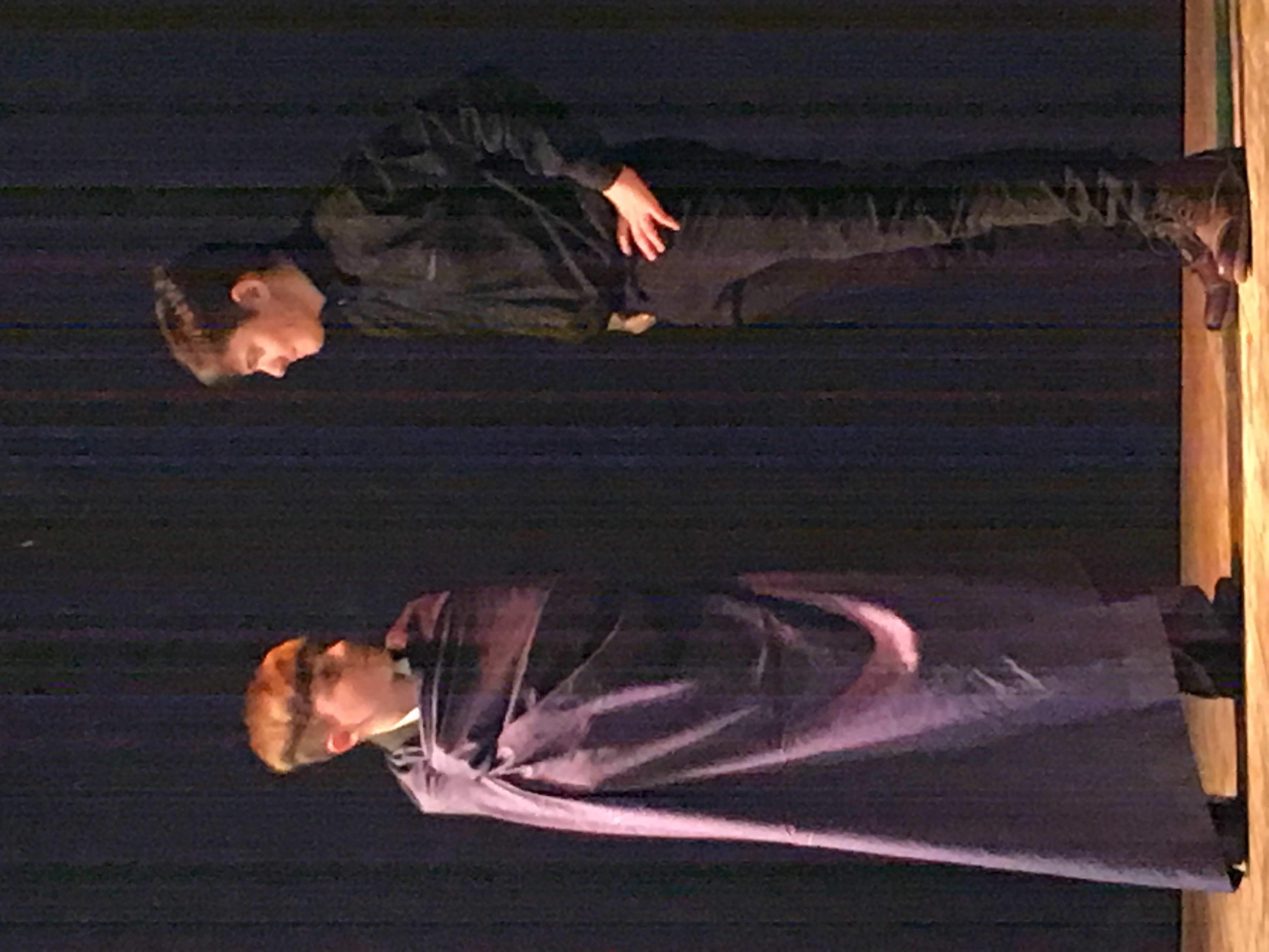 Stage Door & More Drama Feis production cover photo
